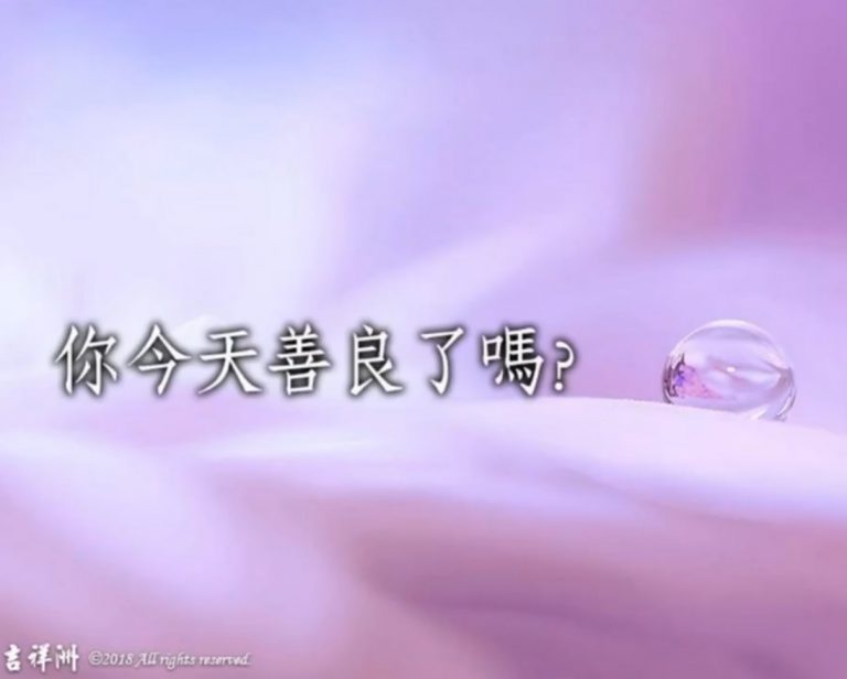 你今天善良了嗎