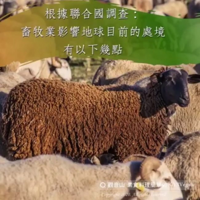 united nation research