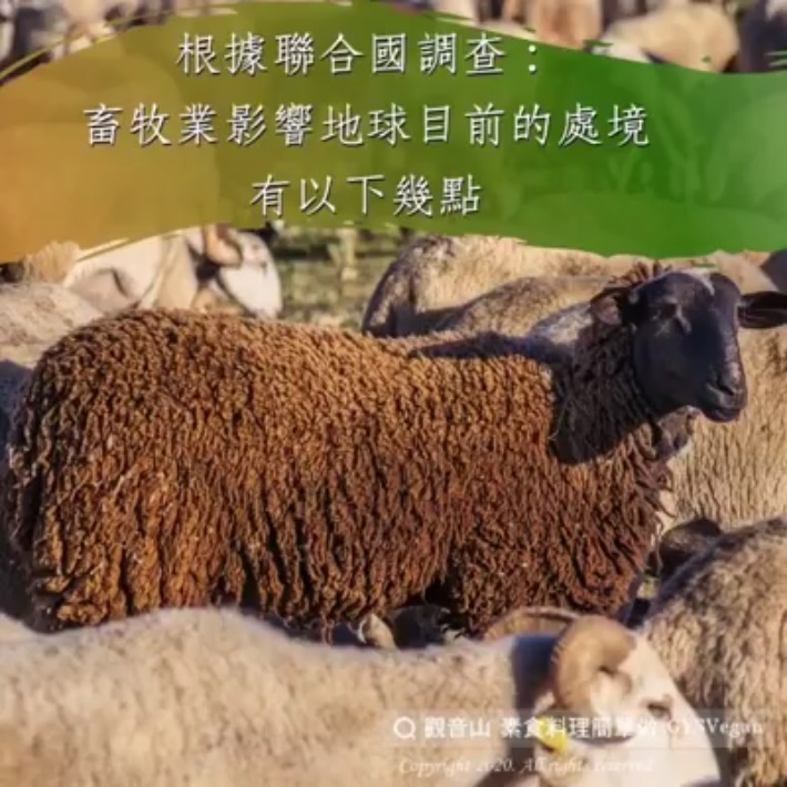 united nation research