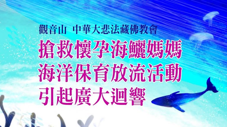 CTi News cobia release