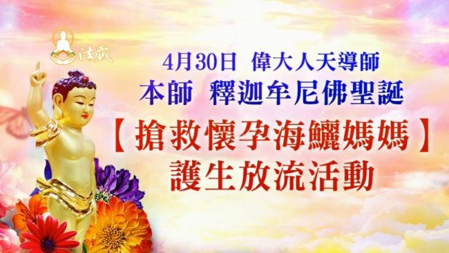 buddha birthday save cobia release