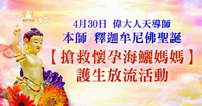 buddha birthday save cobia release