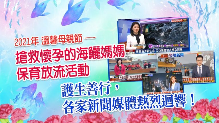 news media about life release