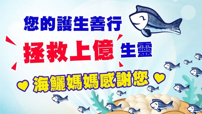 save cobia 2020 part two