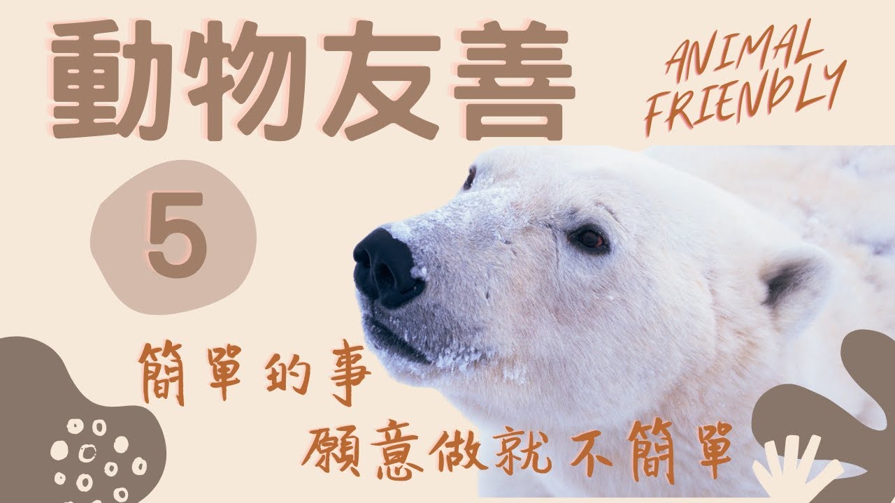 animal friendly virus infection