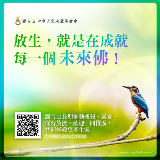 life release future Buddha