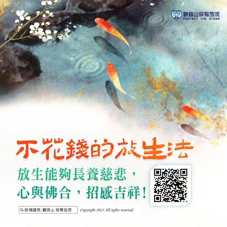 不花錢的放生法