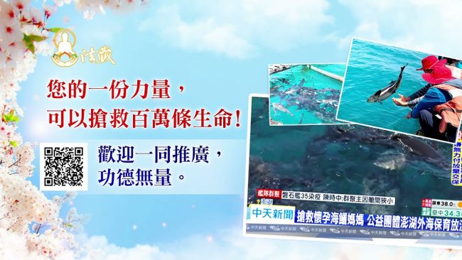 觀音山保育放流