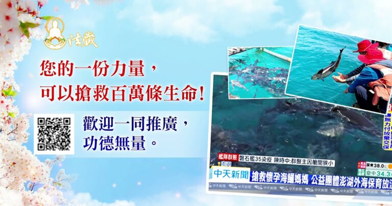 觀音山保育放流