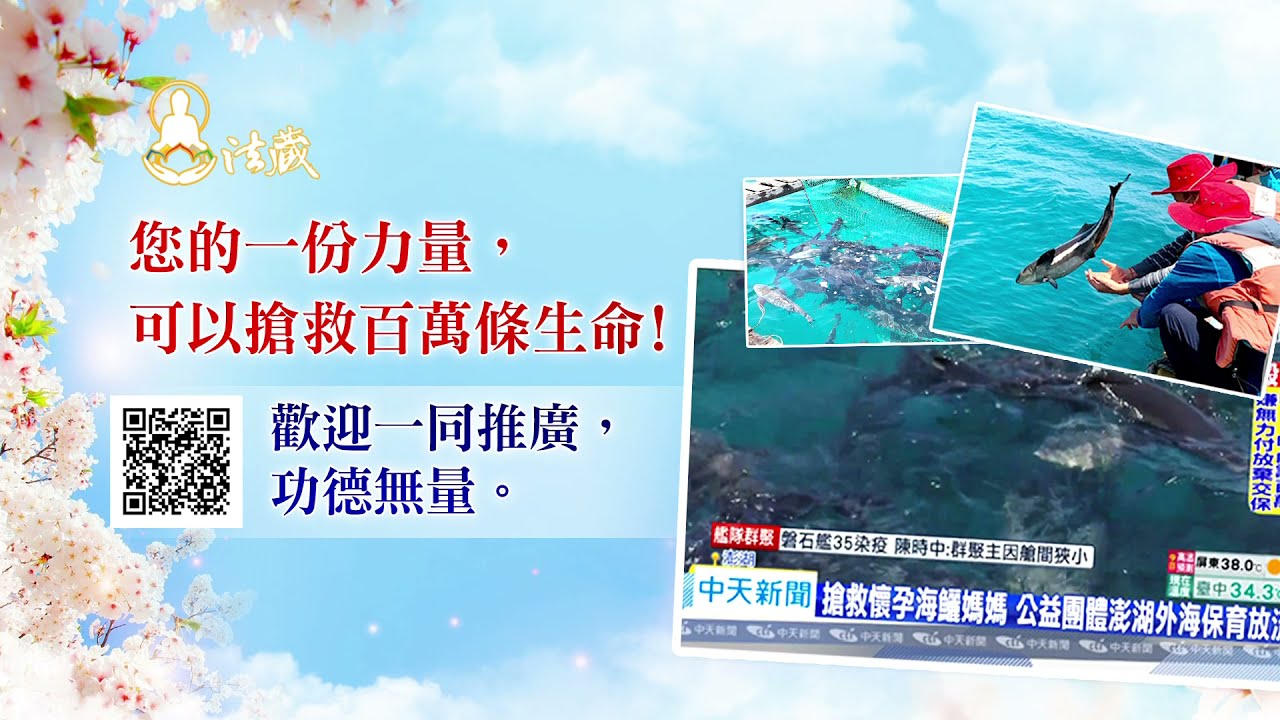 觀音山保育放流