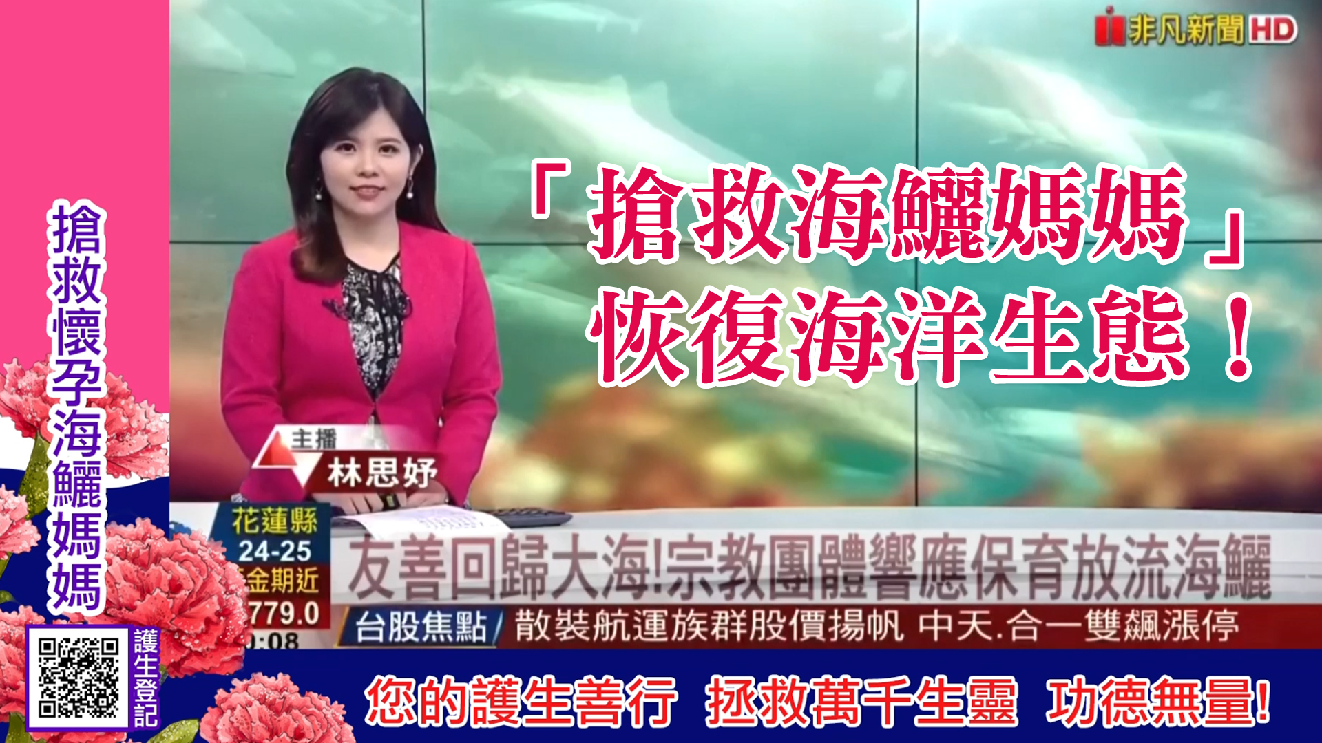 海鱺媽媽 海鱺媽媽