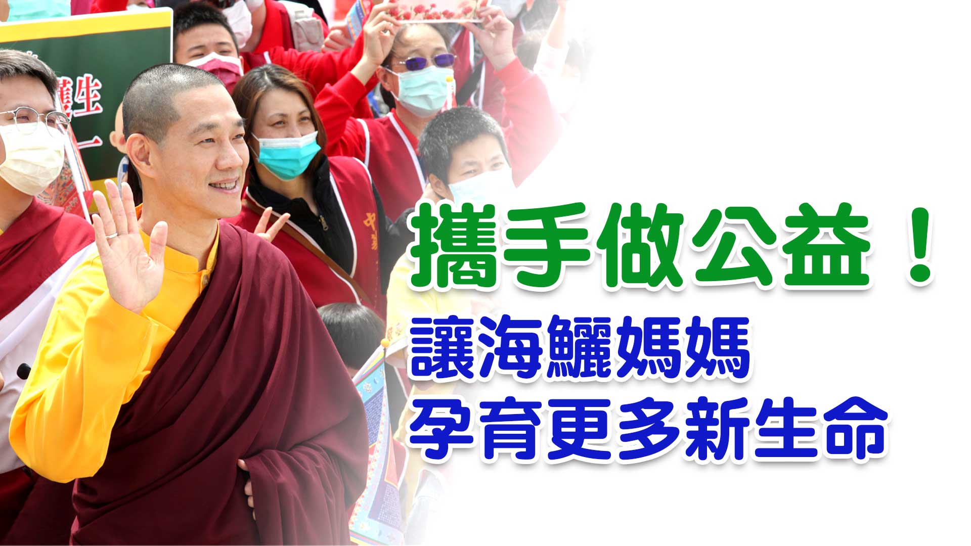 縮圖03 搶救懷孕海鱺媽媽