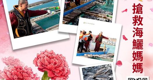 mothers day save cobia mother