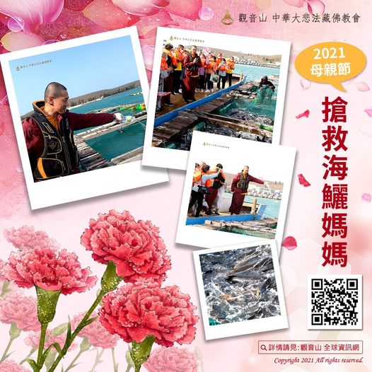 mothers day save cobia mother