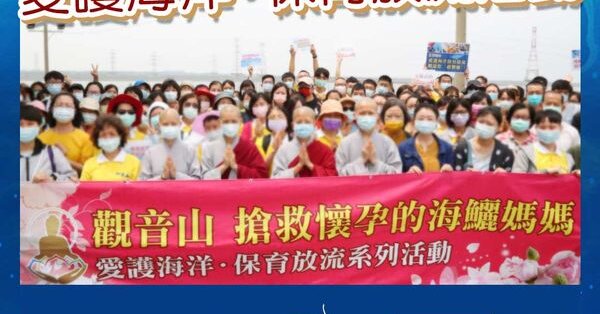 gys protect life in may life release