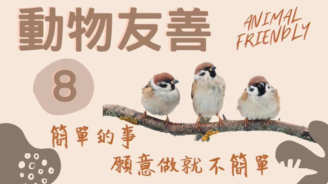 animal friendly easy thing