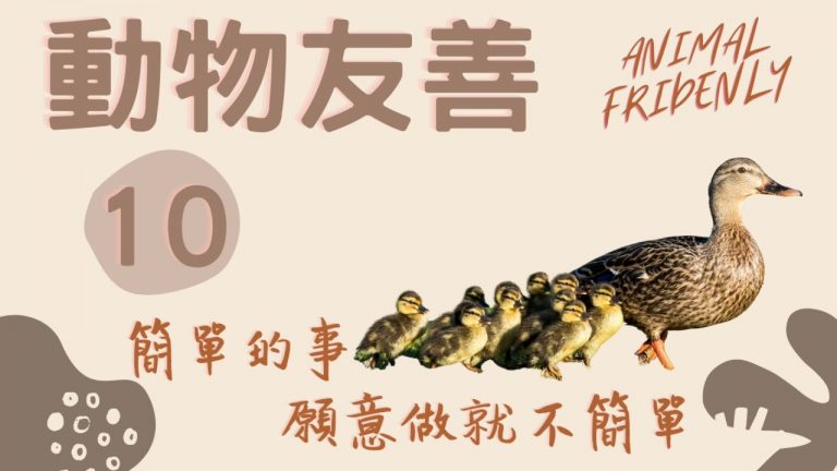 animal friendly Movement to transfer catastrophe​