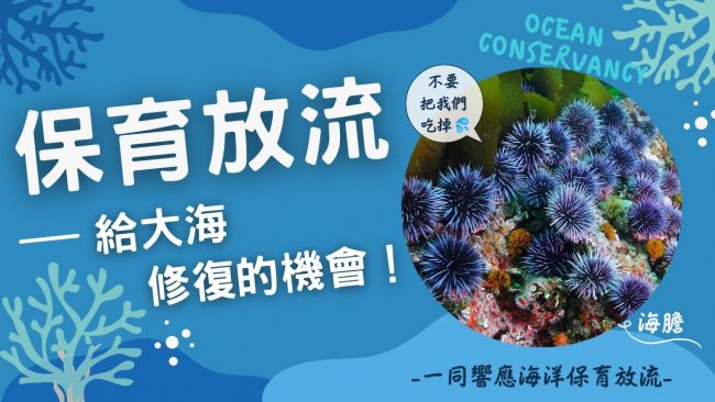 give repair chance to ocean sea urchin