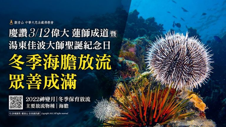 release of sea urchins in winter