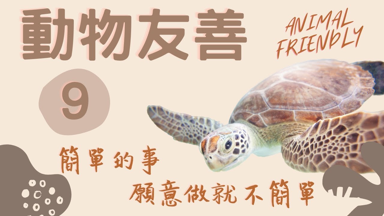 海洋牧場的悲歌 動物友善