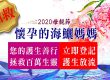 2020母親節最佳獻禮 搶救懷孕的海鱺媽媽