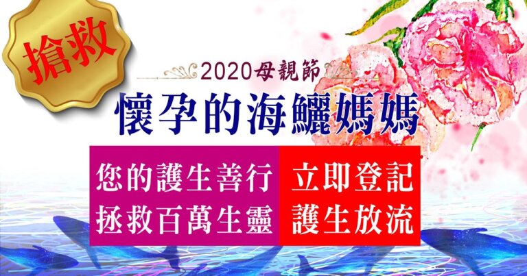 2020母親節最佳獻禮 搶救懷孕的海鱺媽媽