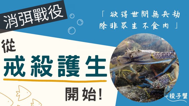 消弭戰役 從戒殺護生開始 海洋保育放流