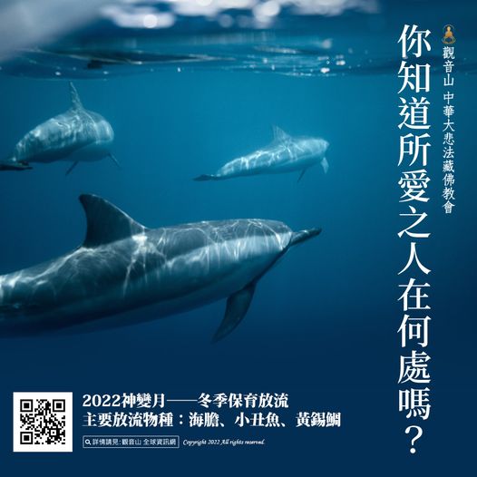 你知道所愛之人在何處嗎