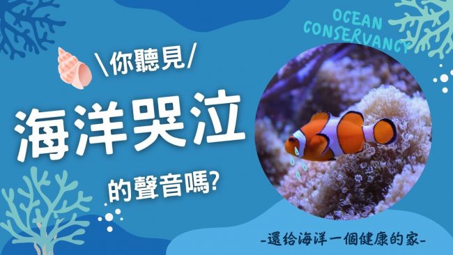 你聽見海洋哭泣的聲音嗎 海洋 小丑魚