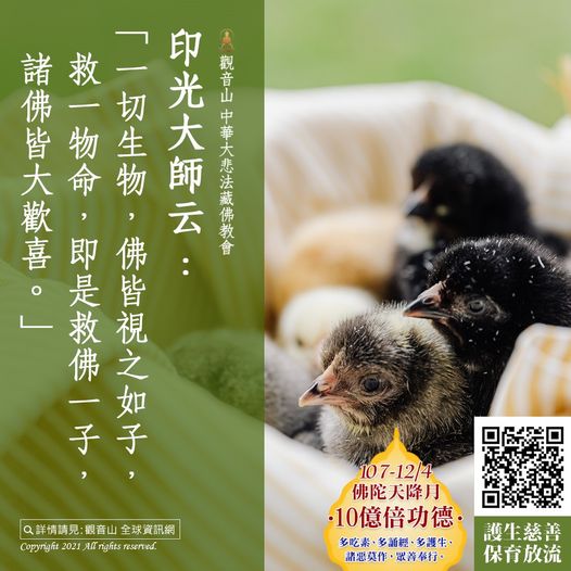 印光大師云 一切生物 佛皆視之如子 救一物命 即是救佛一子 諸佛皆大歡喜