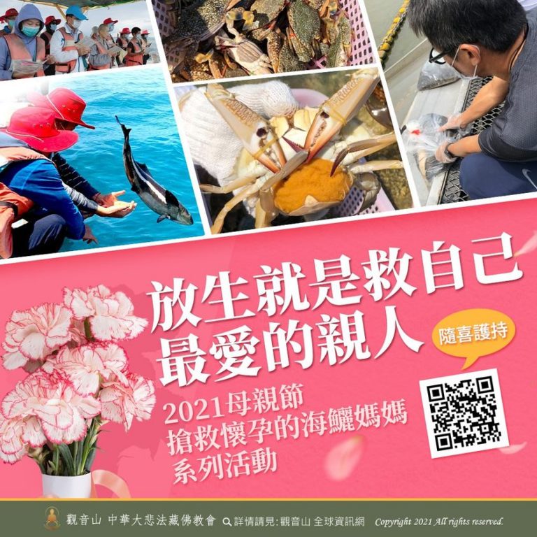 放生就是救自己最愛的親人