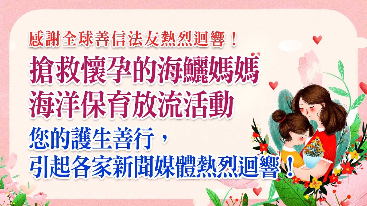 救懷孕的海鱺媽媽 海洋放流保育計畫 護生善行 新聞媒體熱烈迴響