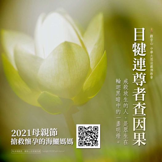 目犍連尊者查因果