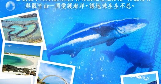 海鱺媽媽保育放流 自由行活動