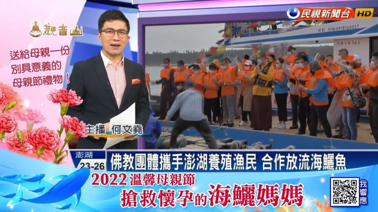 龍德上師保育放流 保育放流 龍德上師放生 海洋保育