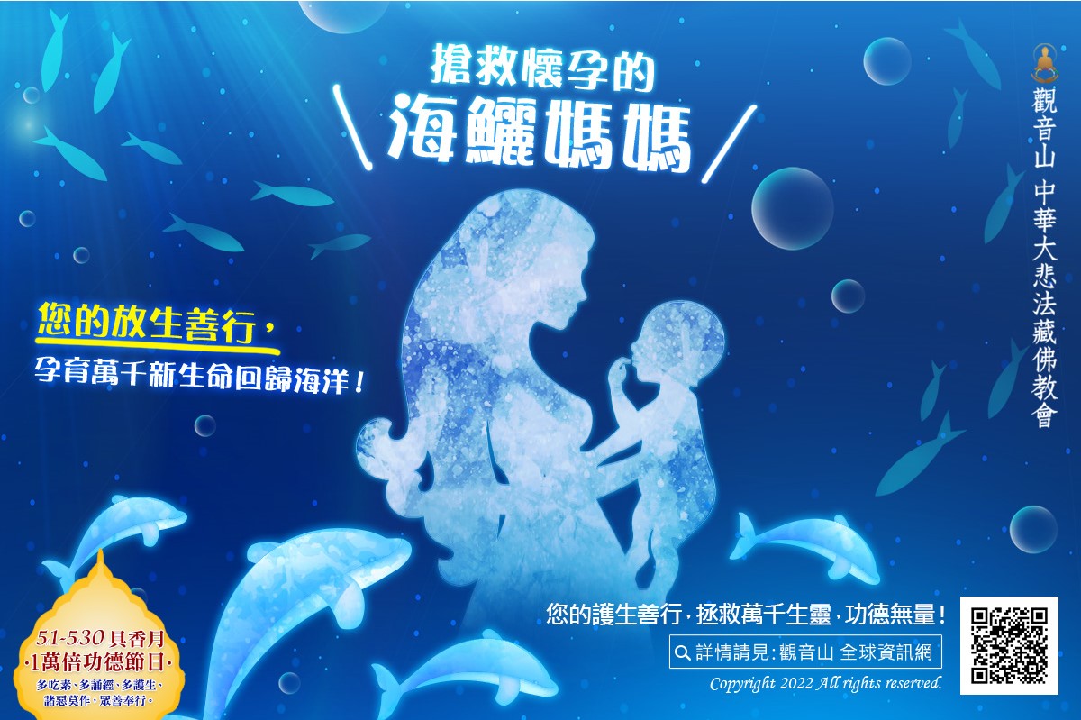 liferelease cobia report 海鱺媽媽 龍德上師保育放流 龍德上師放生 保育放流 海洋保育 海鱺媽媽 龍德上師保育放流 龍德上師放生 保育放流 海洋保育