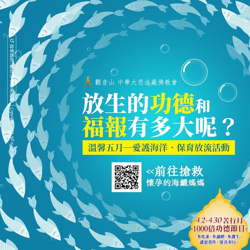 放生 功德 福報