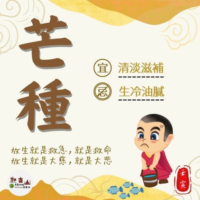 Corn-on-ear芒種，觀音山素食料理簡單做二十四節氣養生，宜清淡滋補，忌生冷油膩，小沙彌圓滿提水，保育放流放生魚群