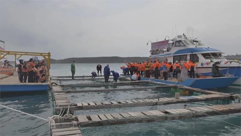 龍德上師放生與水試所合作，進行專業又正確的搶救懷孕的海鱺媽媽保育放流