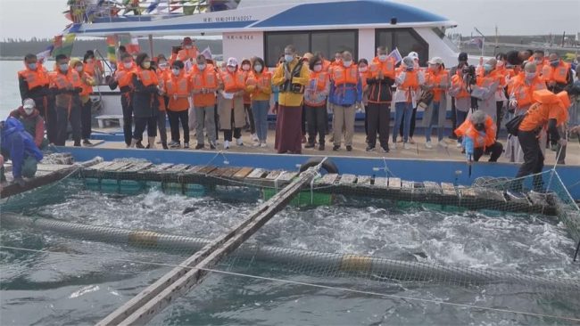 觀音山搶救懷孕的海鱺媽媽保育放流民眾熱烈參與，龍德上師放生現況