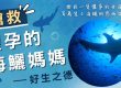 2022觀音山保育放流搶救懷孕的海鱺媽媽,百萬隻小海鱺因您而得救,好生之德