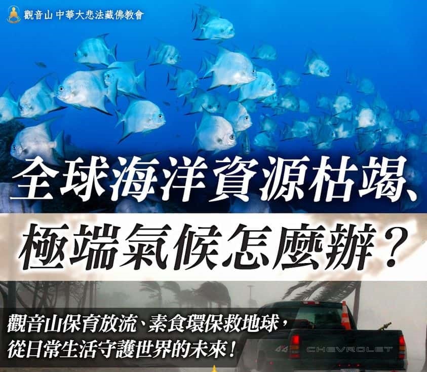 全球海洋資源枯竭、極端氣候怎麼辦？觀音山保育放流、素食環保救地球，從日常生活守護世界的未來！觀音山放生，龍德上師保育放流
