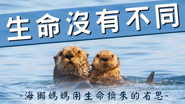 觀音山保育放流，生命沒有不同，海獺媽媽跟海獺寶寶，尊重生命，龍德上師放生，龍德上師保育放流