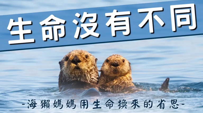 觀音山保育放流，生命沒有不同，海獺媽媽跟海獺寶寶，尊重生命，龍德上師放生，龍德上師保育放流