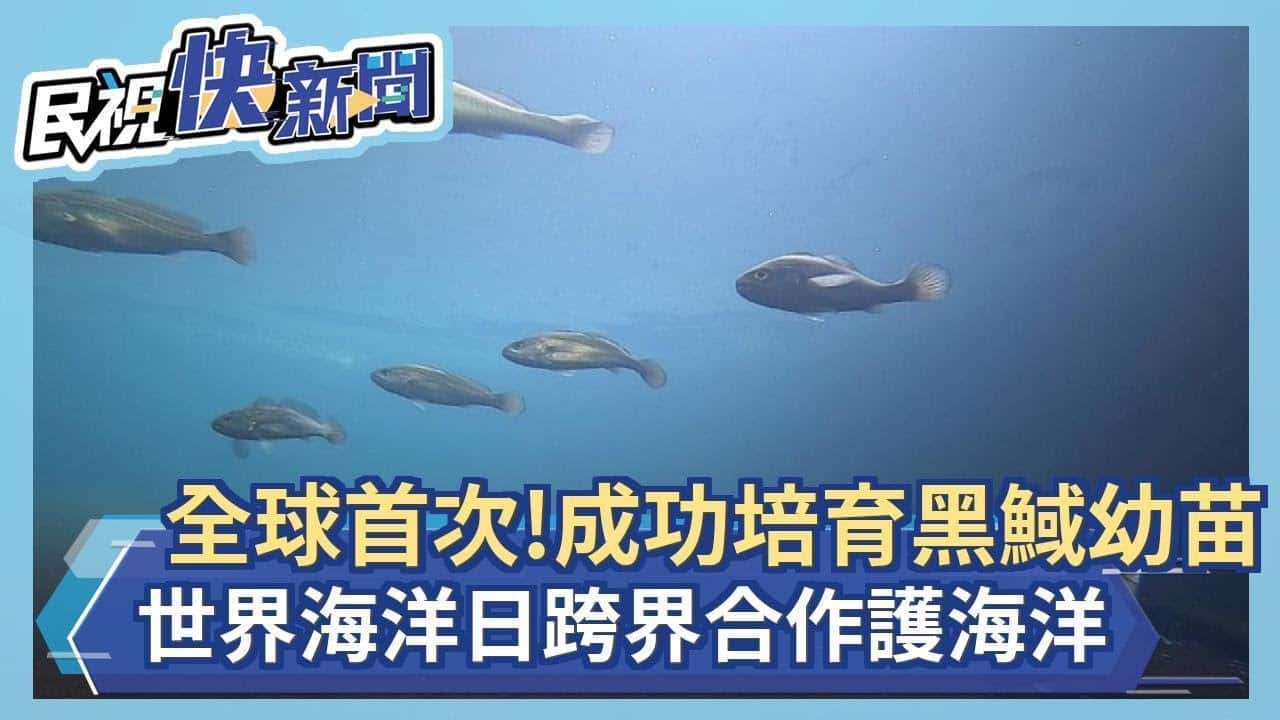 觀音山保育放流與水試所合作，在世界海洋日放流黑䱛幼苗，龍德上師保育放流