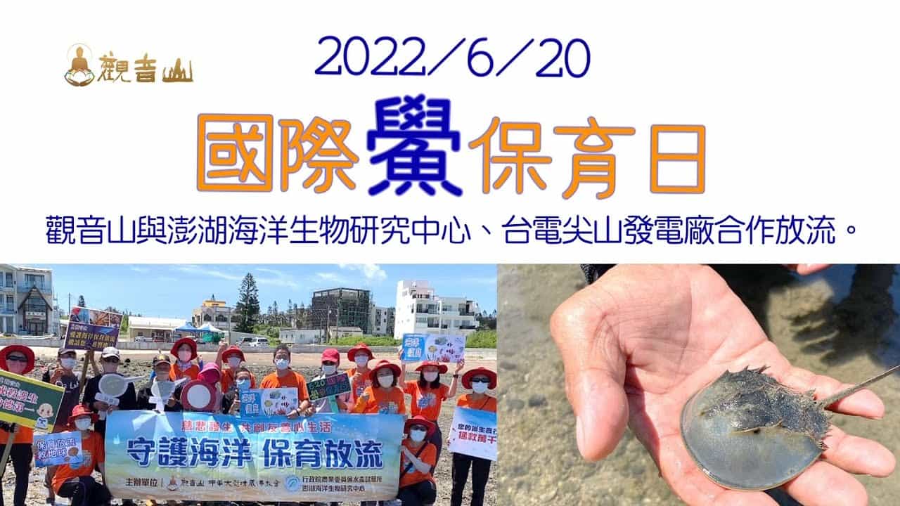 horseshoe crab conservation (6)國際鱟保育日觀音山與水試所、台電合作放流三棘鱟重返棲息地,龍德上師放生,龍德上師保育放流 國際鱟保育日觀音山與水試所、台電合作放流三棘鱟重返棲息地,龍德上師放生,龍德上師保育放流