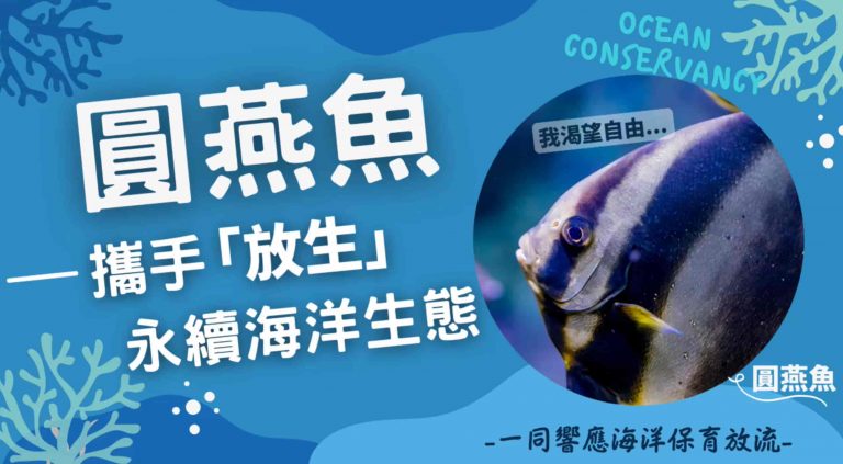 觀音山保育放流圓燕魚，攜手「放生」永續海洋生態，龍德上師保育放流，龍德上師放生