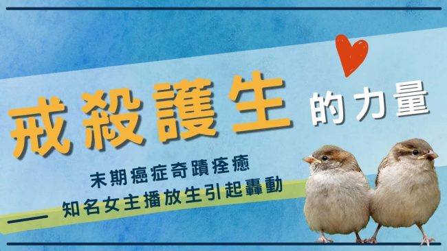 觀音山放生，龍德上師保育放流，戒殺護生的力量，放生感應，末期癌症奇蹟痊癒，知名女主播放生引起轟動