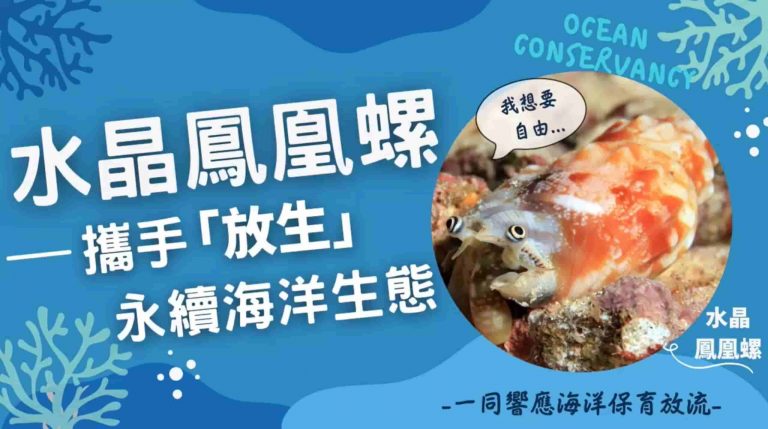 觀音山保育放流物種水晶鳳凰螺，龍德上師保育放流，龍德上師放生