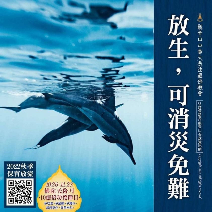 觀音山秋季保育放流 觀音山放生 龍德上師保育放流 龍德上師